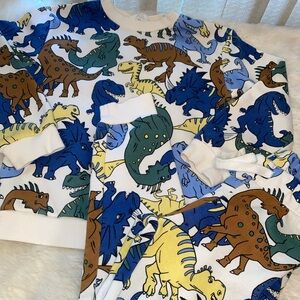 Dinosaur matching set
